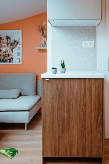 Apartamento Le Nid Douillet De L'Hypercentre Toulouse Exterior foto
