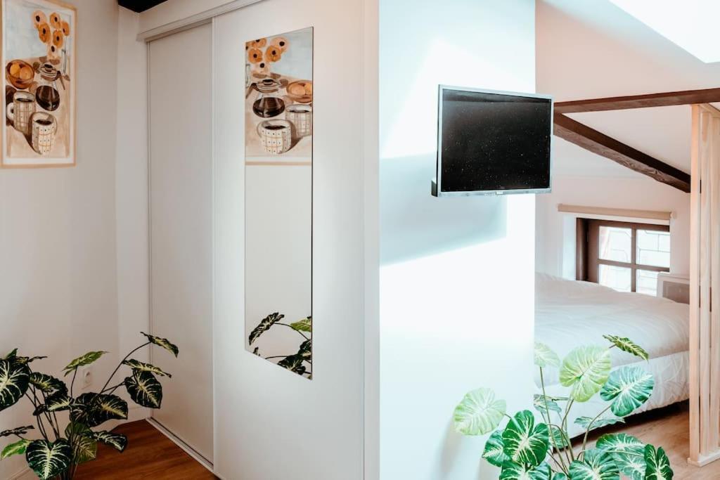 Apartamento Le Nid Douillet De L'Hypercentre Toulouse Exterior foto