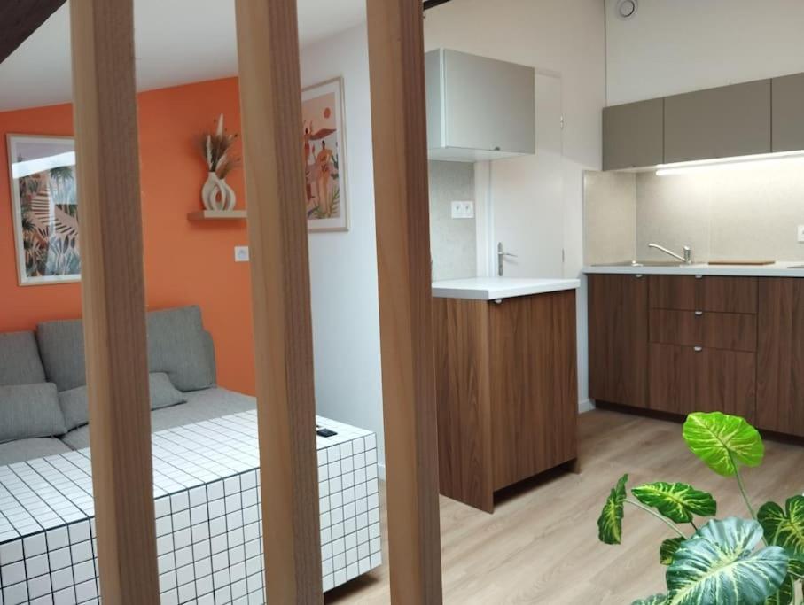 Apartamento Le Nid Douillet De L'Hypercentre Toulouse Exterior foto