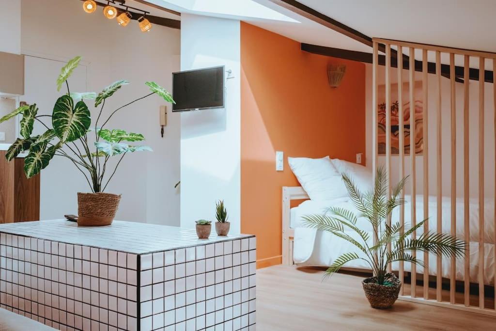 Apartamento Le Nid Douillet De L'Hypercentre Toulouse Exterior foto